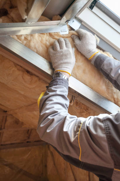 Best Insulation Removal  in Green Island, NY