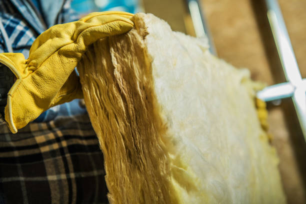 Best Professional Insulation Contractor  in Green Island, NY